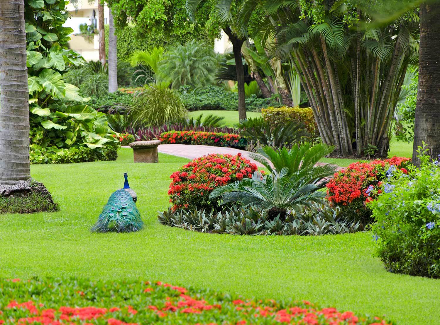 Resort Velas Vallarta